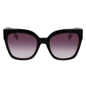 Longchamp Sunglasses Lo717s